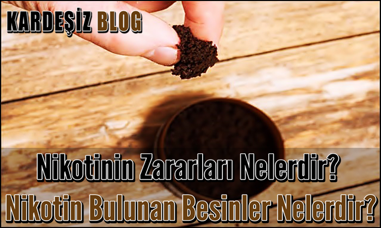 Nikotinin Zararları Nelerdir