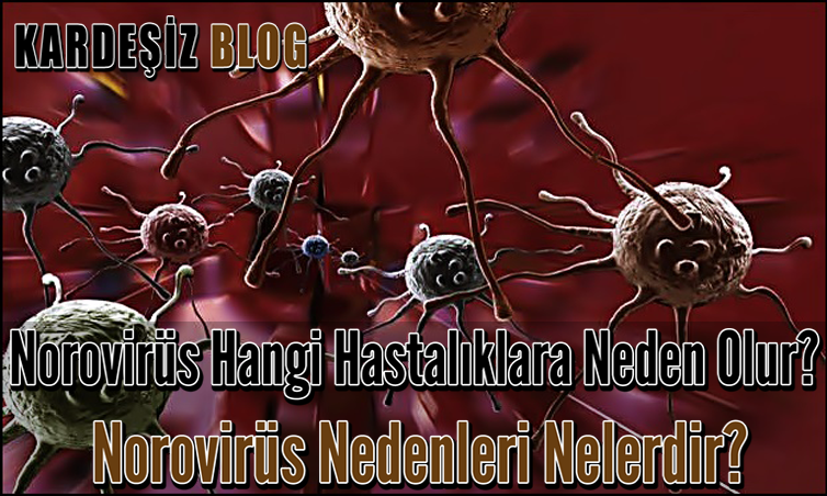 Norovirüs Hangi Hastalıklara Neden Olur