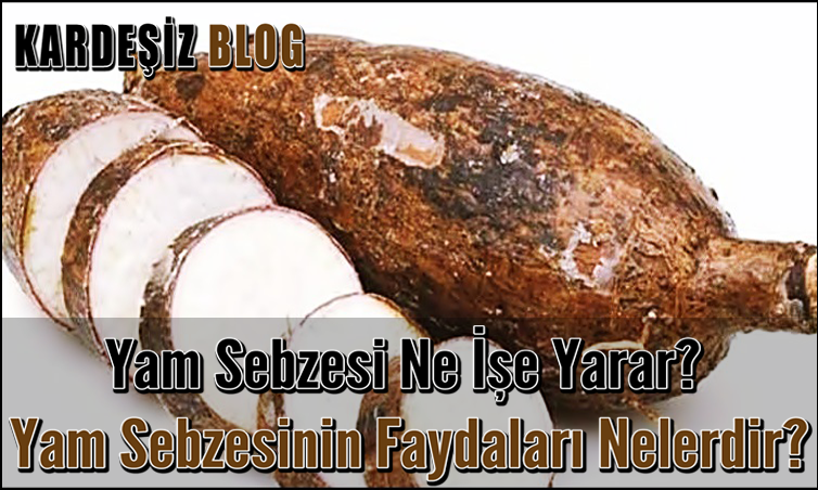 Yam Sebzesi Ne işe Yarar