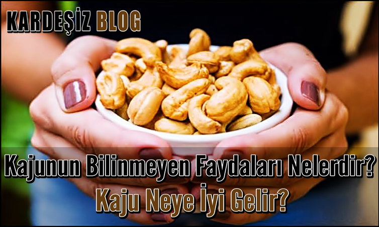 Kajunun Bilinmeyen Faydaları Nelerdir