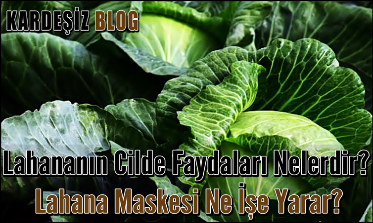 Lahananın Cilde Faydaları Nelerdir