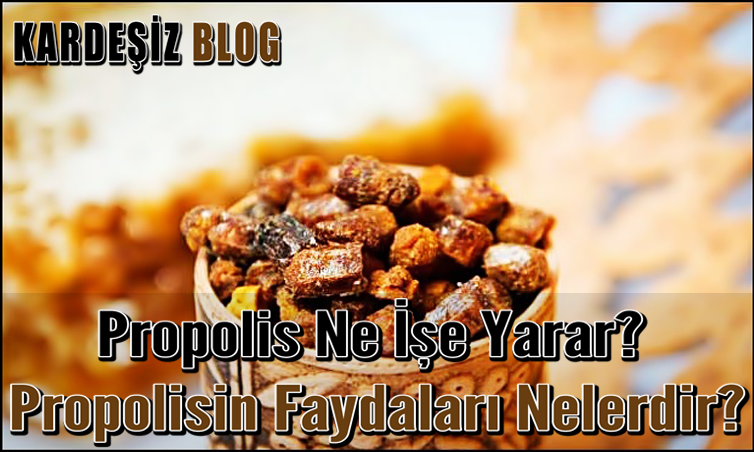 Propolis Ne işe Yarar