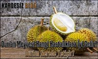 Durian Meyvesi Hangi Hastalıklara iyi Gelir