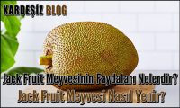 Jack Fruit Meyvesinin Faydaları Nelerdir