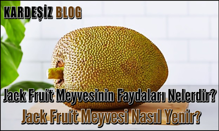 Jack Fruit Meyvesinin Faydaları Nelerdir