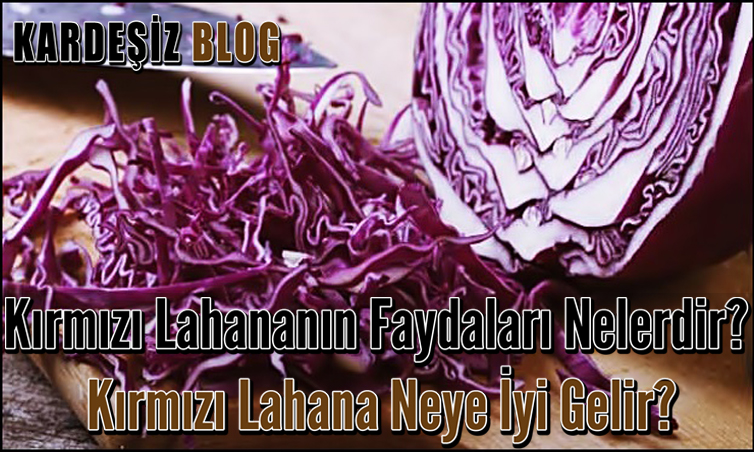 Kırmızı Lahananın Faydaları Nelerdir