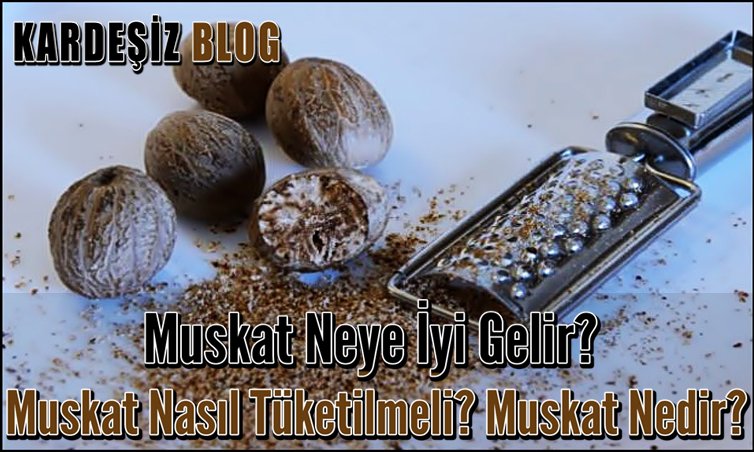 Muskat Neye iyi Gelir