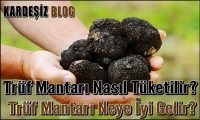 Trüf Mantarı Nasıl Tüketilir