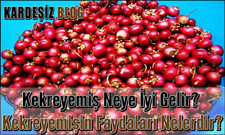 Kekreyemiş Neye iyi Gelir