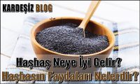 Haşhaş Neye iyi Gelir