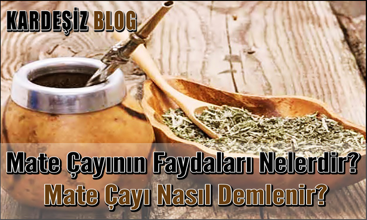 Mate Çayının Faydaları Nelerdir