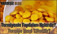 Termiyenin Faydaları Nelerdir