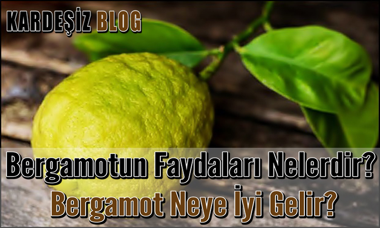 Bergamotun Faydaları Nelerdir