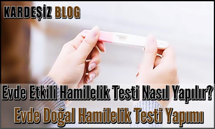 Evde Etkili Hamilelik Testi Nasıl Yapılır