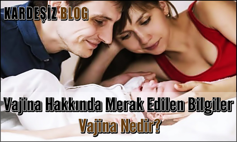 Vajina Hakkında Merak Edilen Bilgiler