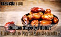 Hurma Neye iyi Gelir