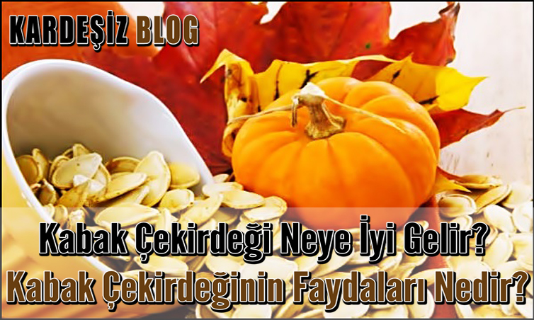 Kabak Çekirdeği Neye iyi Gelir