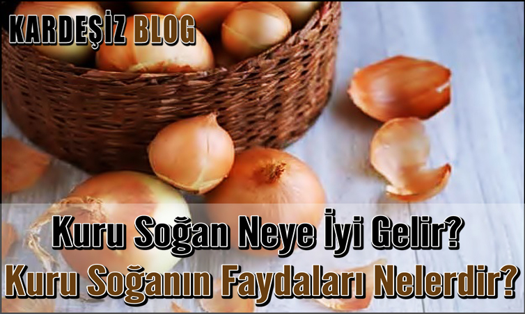 Kuru Soğan Neye iyi Gelir