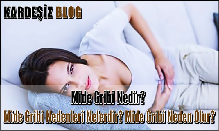 Mide Gribi Nedir