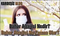 Bahar Alerjisi Nedir