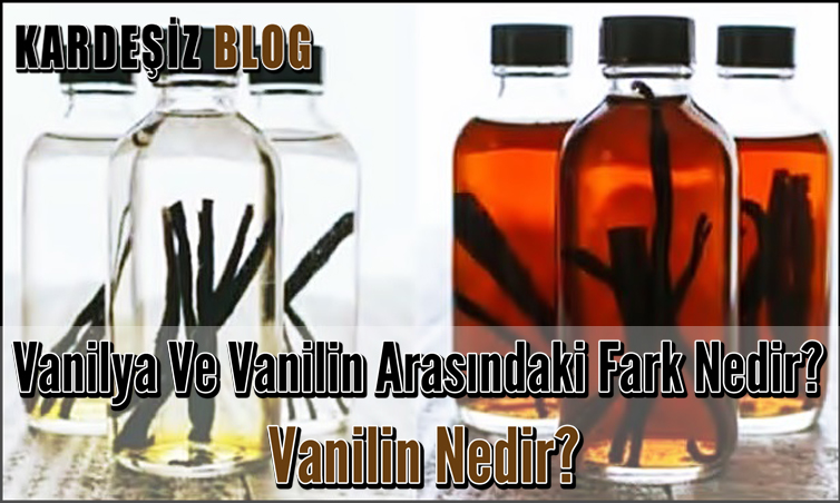 Vanilya Ve Vanilin Arasındaki Fark Nedir