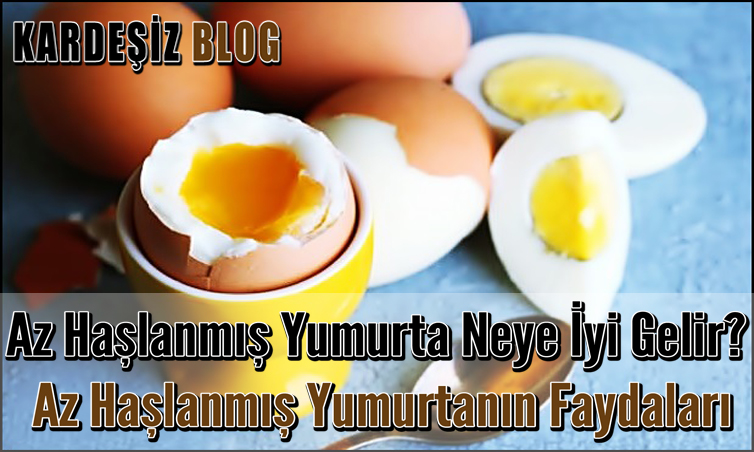 Az Haşlanmış Yumurta Neye iyi Gelir