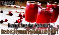 Kızılcık Zararları Nelerdir