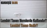 Lambiri Tavan Nerelerde Kullanılır