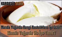 Manda Yoğurdu Hangi Hastalıklara iyi Gelir