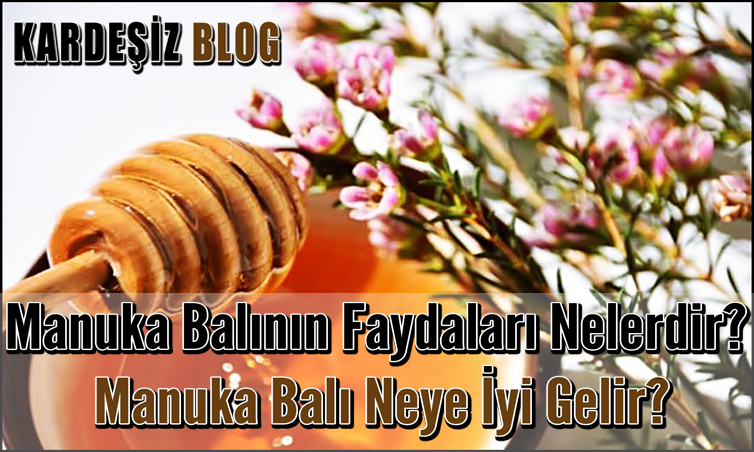 Manuka Balının Faydaları Nelerdir