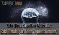 Zeki Olma Kuralları Nelerdir