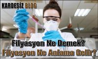 Filyasyon Ne Demek