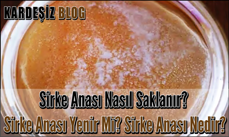 Sirke Anası Nasıl Saklanır