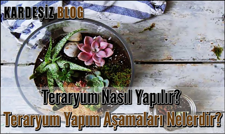 Teraryum Nasıl Yapılır