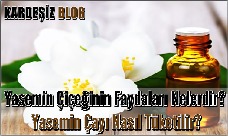 Yasemin Çiçeğinin Faydaları Nelerdir