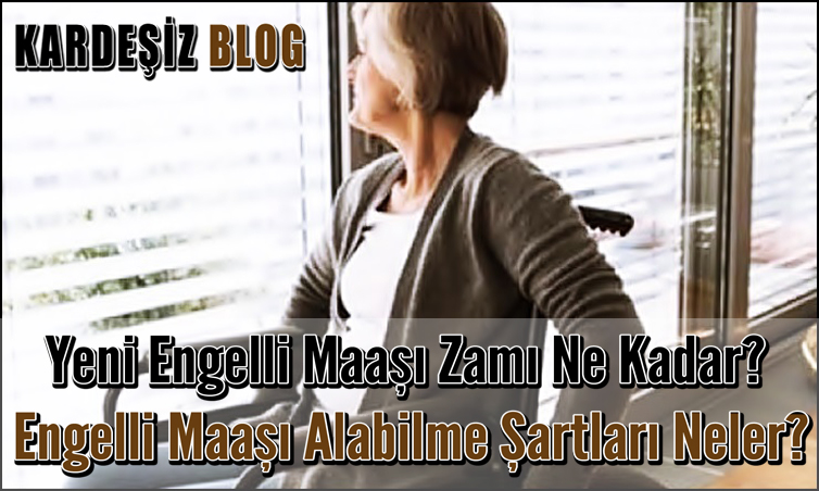 Yeni Engelli Maaşı Zamı Ne Kadar