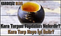 Kara Turpun Faydaları Nelerdir