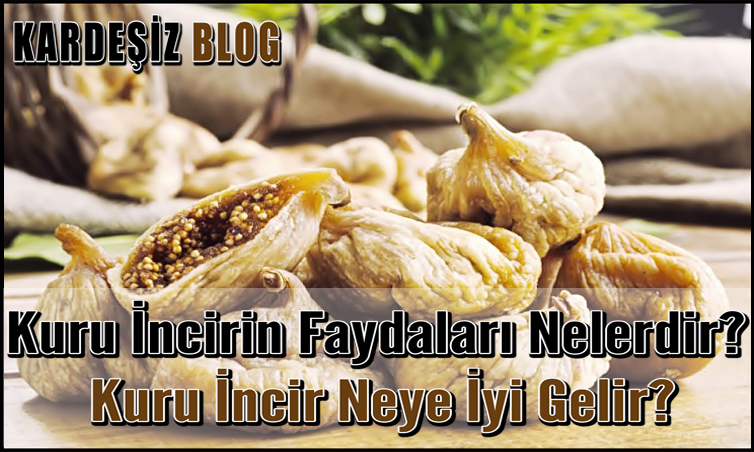 Kuru incirin Faydaları Nelerdir