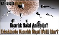 Kısırlık Nasıl Anlaşılır