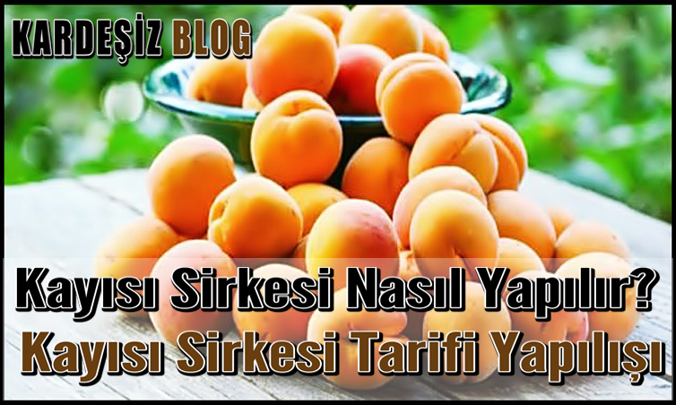 Kayısı Sirkesi Nasıl Yapılır