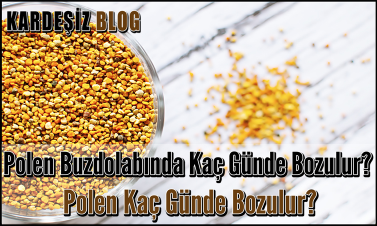 Polen Buzdolabında Kaç Günde Bozulur