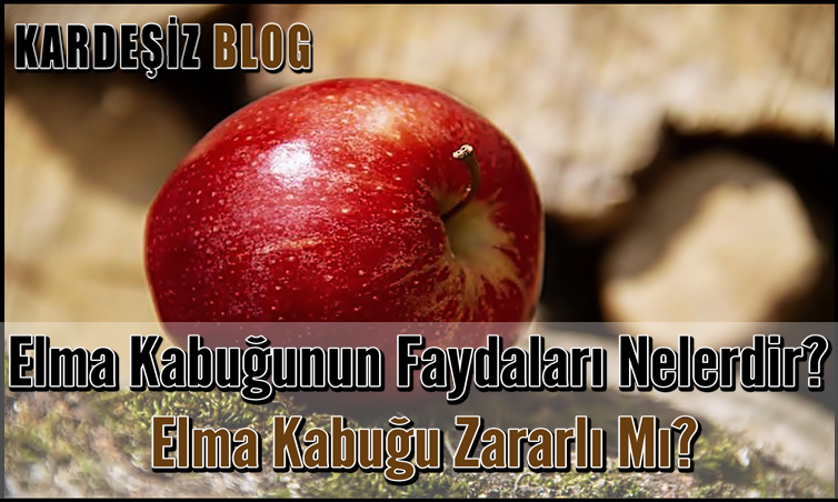 Elma Kabuğunun Faydaları Nelerdir