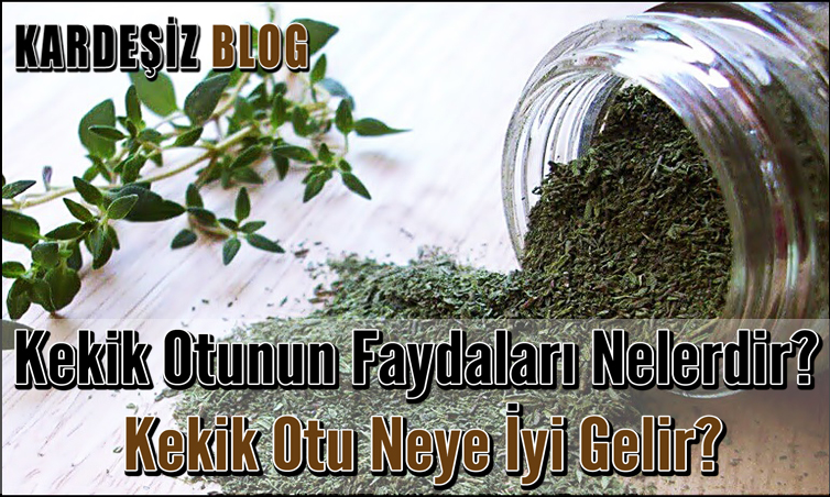 Kekik Otunun Faydaları Nelerdir