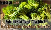 Kale Bitkisi Nasıl Tüketilir