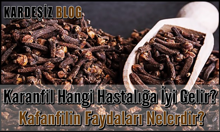 Karanfil Hangi Hastalığa iyi Gelir