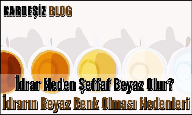 İdrar Neden Şeffaf Beyaz Olur