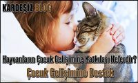 Hayvanların Çocuk Gelişimine Katkıları Nelerdir