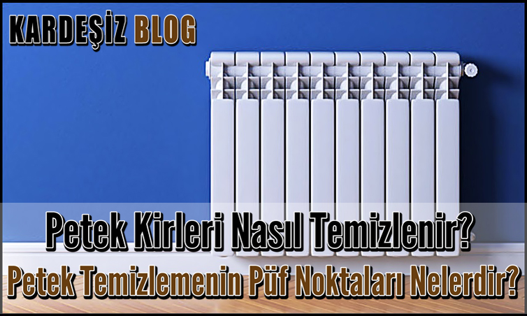 Petek Kirleri Nasıl Temizlenir