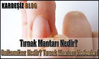 Tırnak Mantarı Nedir