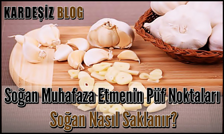 Soğan Muhafaza Etmenin Püf Noktaları